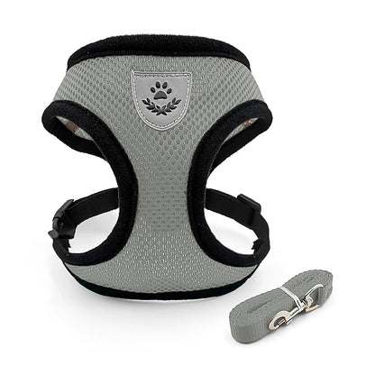 Adjustable Dog Harness for Small Medium Dogs Cats Breathable Pet Vest Harnesses And Leash Set For Pomeranian Pets Accessories