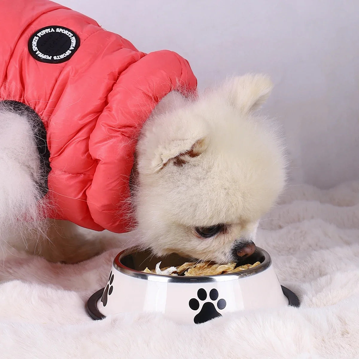 Stainless Steel Pet Bowl Cat  Dog Food Bowl Multi-Specification Anti-fall Food Bowl Food Bowl Feeding Pet Supplies 16 To 22 Cm