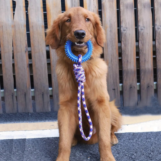 Dog Toys Chew Resistant Nylon Rope Toys Pet Colorful Woven Knot Rubber Toys Dog Self Fun Outdoor Swimming Toys Pet Supplies