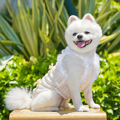 Pet Supplies Elegant Pet Vest Shirt Hollow Lace Bowknot Cat Dress Thin Design Cute Dog Clothes Autumn