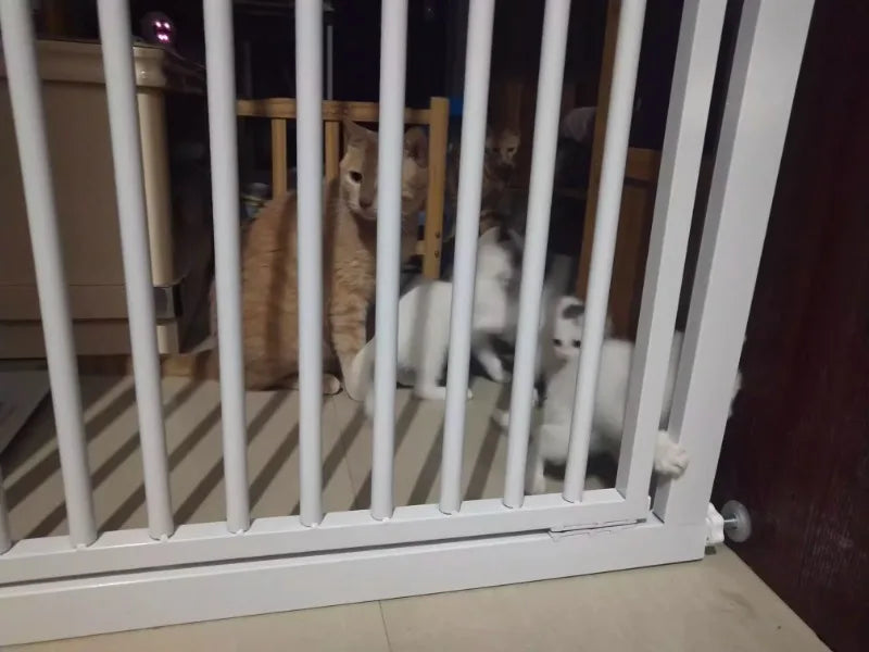 High 150CM Indoor Cat Fence Barrier Anti Jump Escape Cats Fences Isolation Gate Cats Containment Carbon Steel Pet Supplies