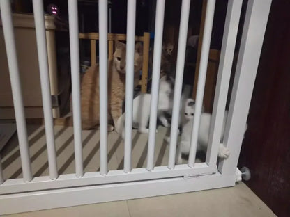 High 150CM Indoor Cat Fence Barrier Anti Jump Escape Cats Fences Isolation Gate Cats Containment Carbon Steel Pet Supplies
