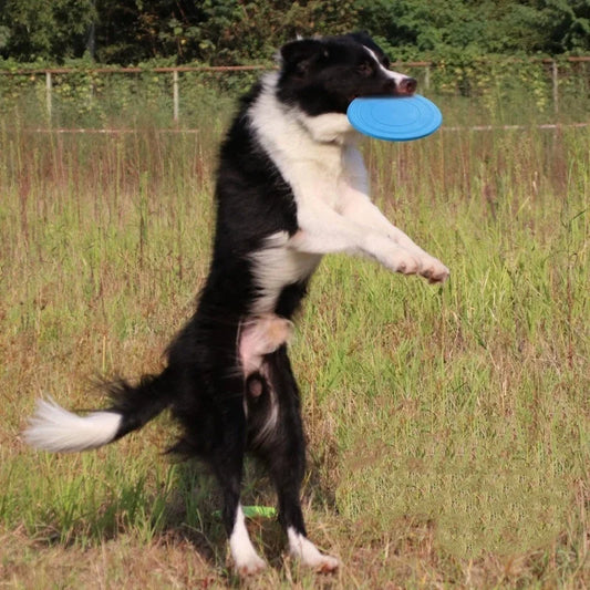 7 Colors Silicone Flying Saucer Interactive Dog Cat Toy Chew Resistant Flying Discs for Puppy Training Fun Pet Supplies